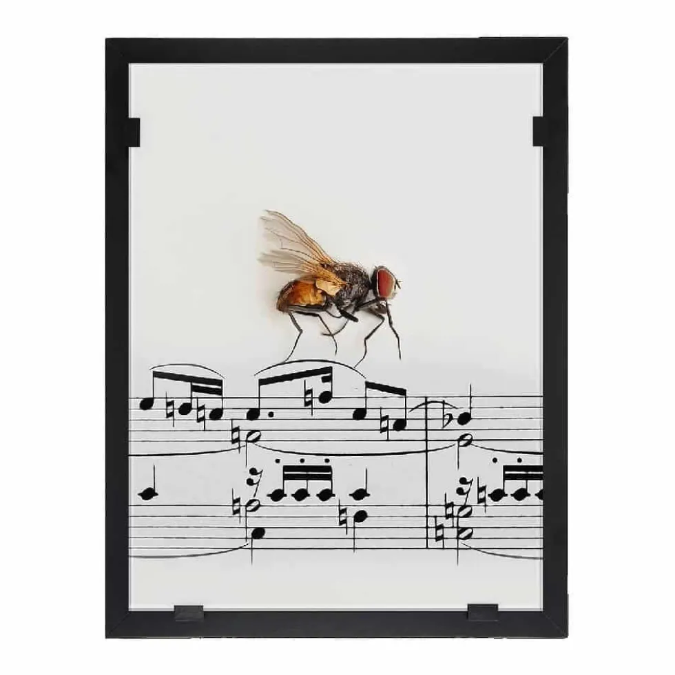 “Flygtur” – Yvonne Heinonen